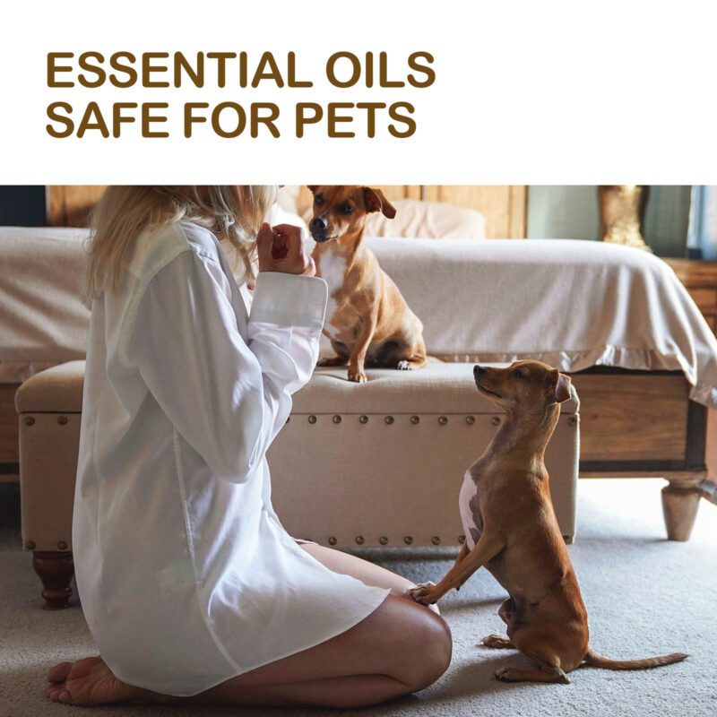 Pet Joint & Muscle Pain Relief Essential Oil - Soothe Aching Bones, Joints & Muscles Pet Care Oil - Image 4