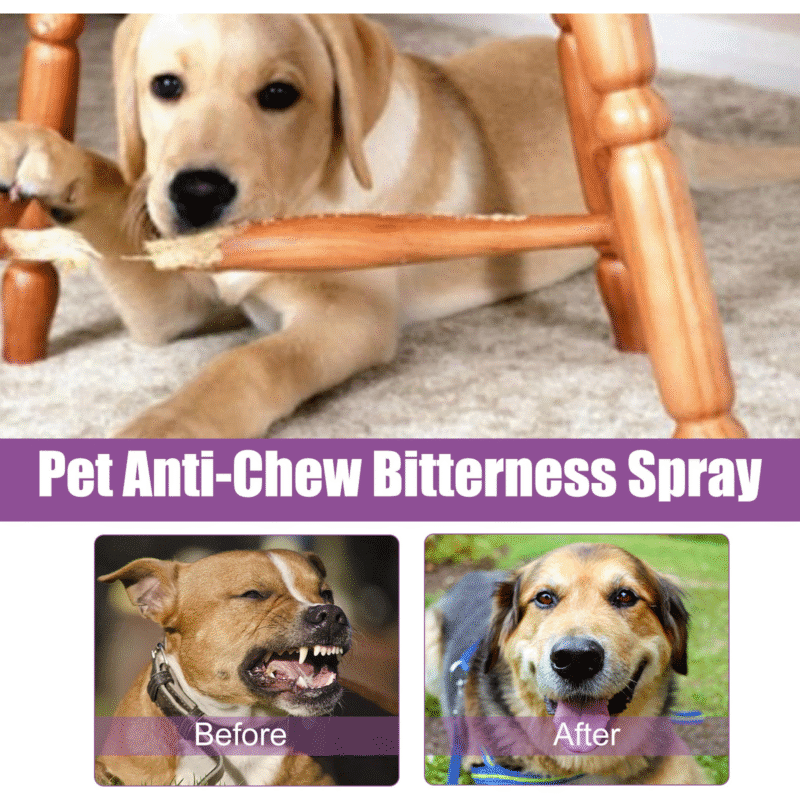 Yegbong Pet Noise Reduction & Calming Spray - Prevent Stress, Soothe Anxiety, Reduce Barking/Whining for Calmer Pets - Image 4