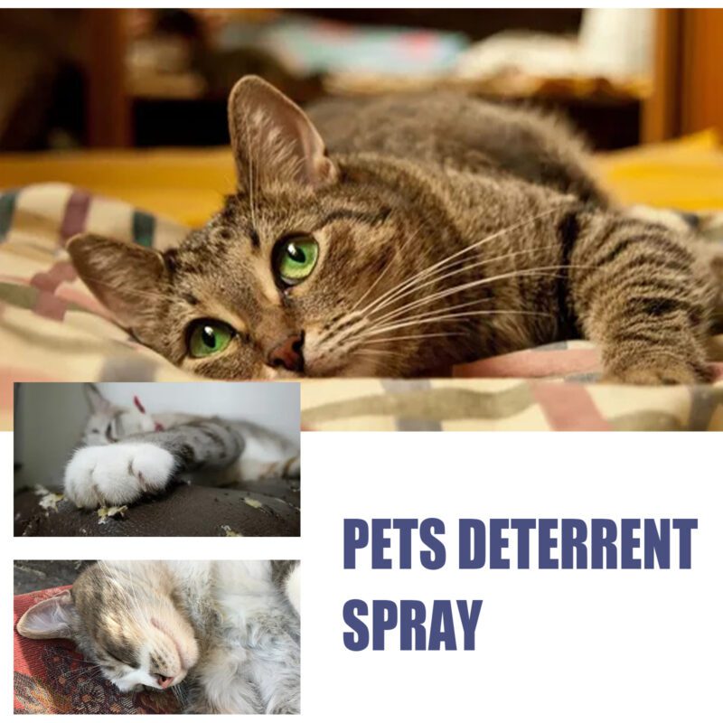 Yegbong Pet Anti-Scratch Spray for Cats & Dogs - Exclusion Zone Deterrent Spray to Prevent Scratching on Doors & Sofas, Effective Scratch Control Solution - Image 4