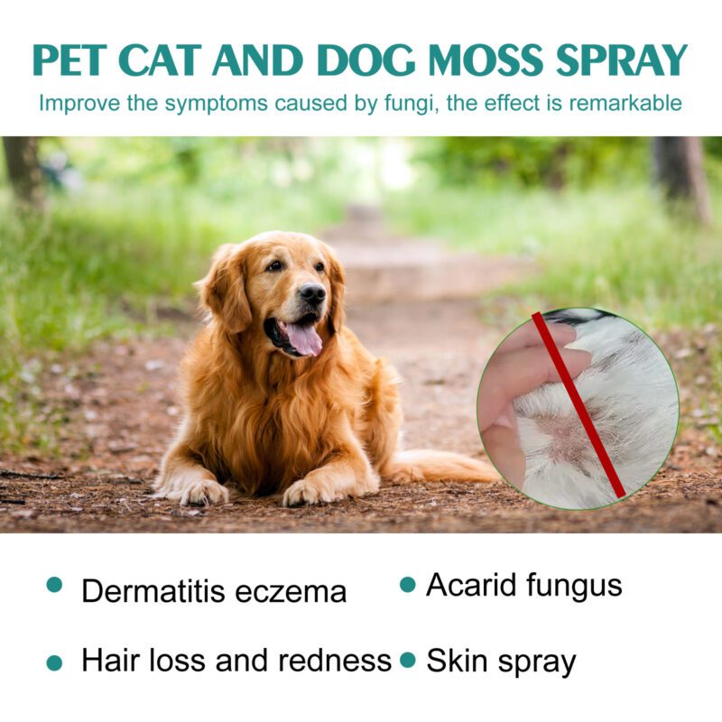 Anti-Mite Pet Skin Medicine Spray for Cats & Dogs - Relieve Itchy Skin, Soothe Redness, Effective Itch Relief Solution - Image 3