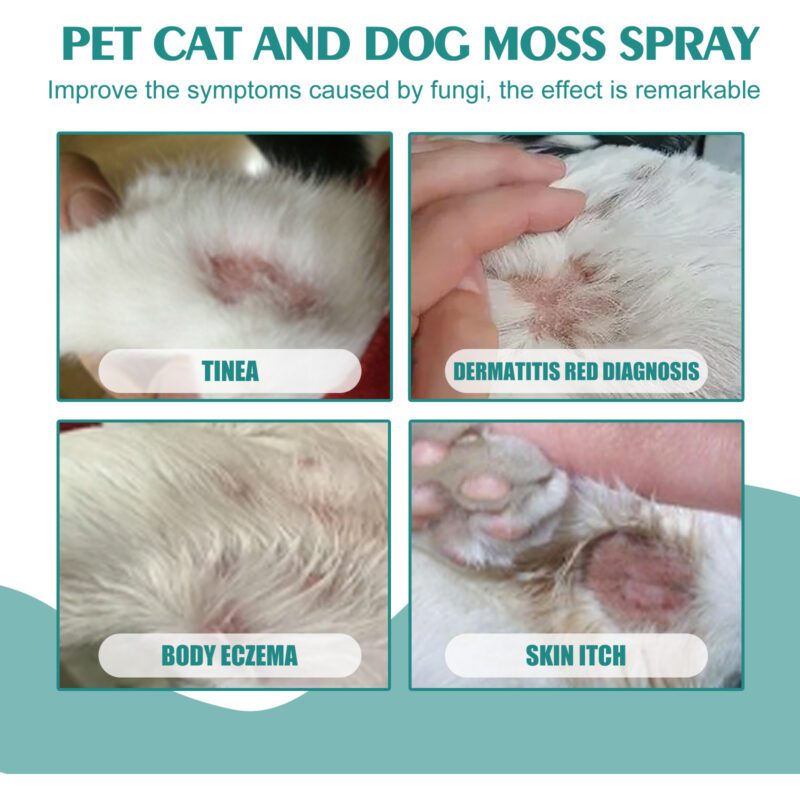 Anti-Mite Pet Skin Medicine Spray for Cats & Dogs - Relieve Itchy Skin, Soothe Redness, Effective Itch Relief Solution - Image 4
