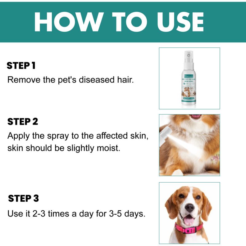 Anti-Mite Pet Skin Medicine Spray for Cats & Dogs - Relieve Itchy Skin, Soothe Redness, Effective Itch Relief Solution - Image 6