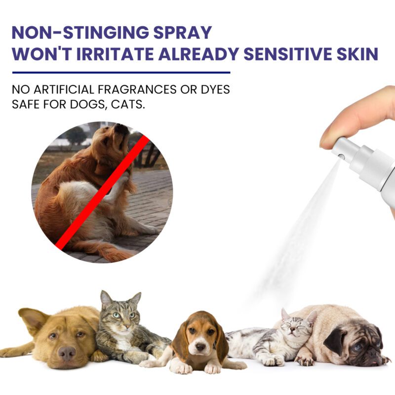 Yegbong Pet Anti-Itch Spray - Multi-Purpose Soothing Skin & Fur Cleaner with Anti-Mite, Anti-Bug Formula for Itchy Pets - Image 3