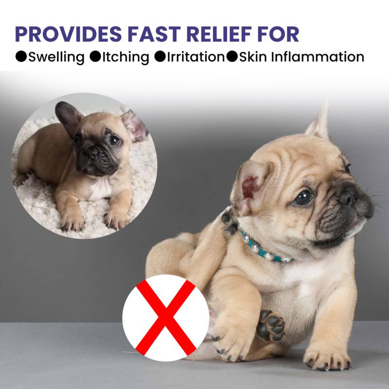 Yegbong Pet Anti-Itch Spray - Multi-Purpose Soothing Skin & Fur Cleaner with Anti-Mite, Anti-Bug Formula for Itchy Pets - Image 4