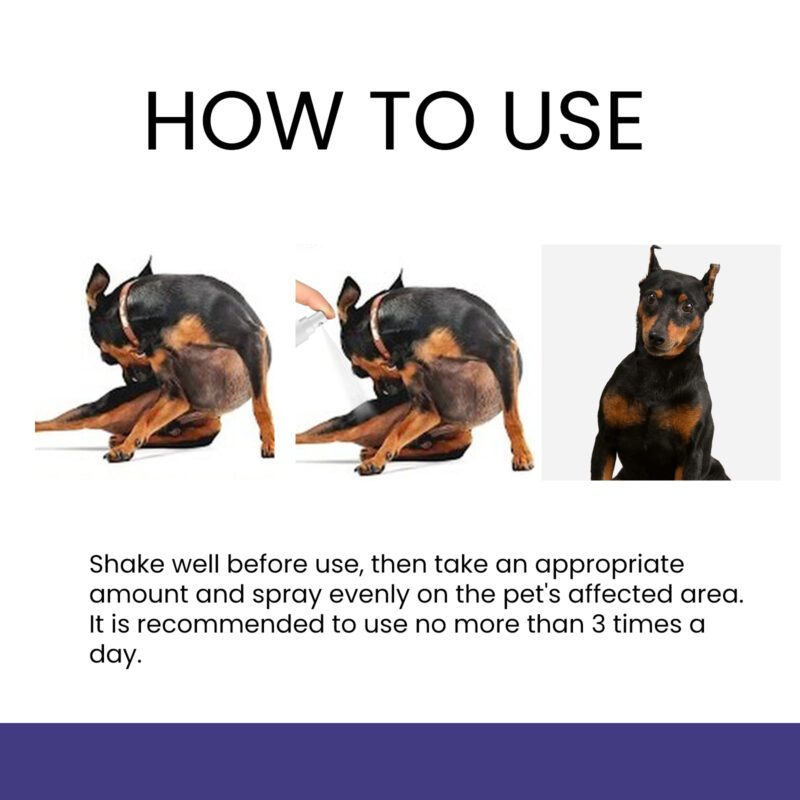 Yegbong Pet Anti-Itch Spray - Multi-Purpose Soothing Skin & Fur Cleaner with Anti-Mite, Anti-Bug Formula for Itchy Pets - Image 6