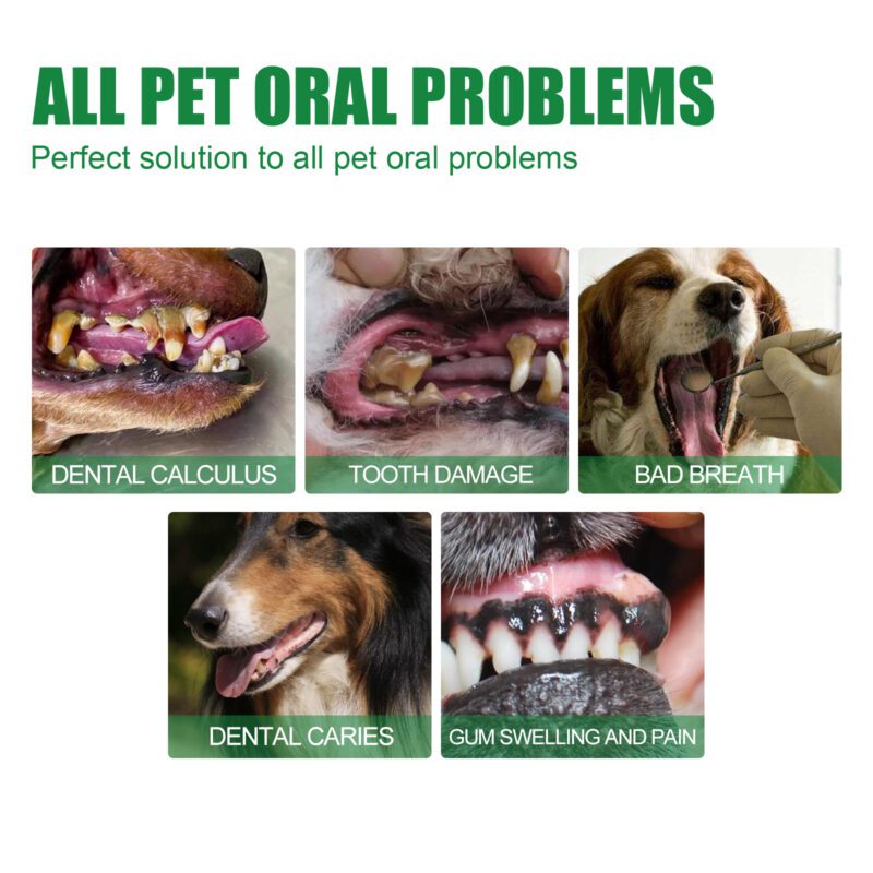 Cats & Dogs Universal Pet Oral Deodorizing Spray - Teeth Cleaning & Fresh Breath Spray for Pets - Image 4