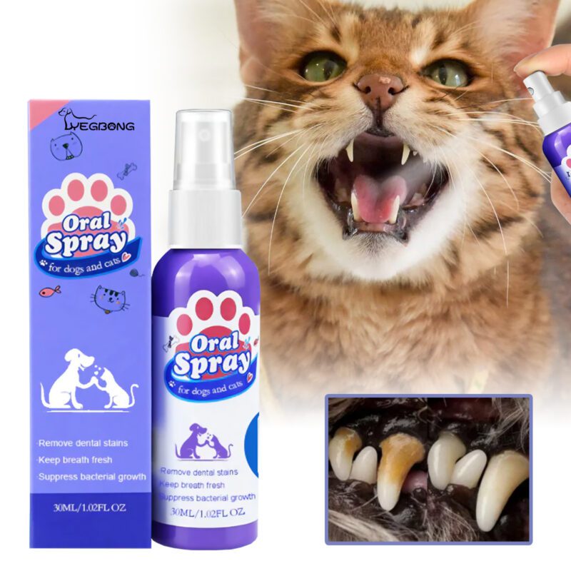 Effective Tooth Cleaning Spray for Cats & Dogs - Remove Tooth Stains, Freshen Breath, Pet Oral Care Spray - Image 2