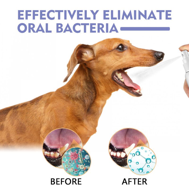 Effective Tooth Cleaning Spray for Cats & Dogs - Remove Tooth Stains, Freshen Breath, Pet Oral Care Spray - Image 3