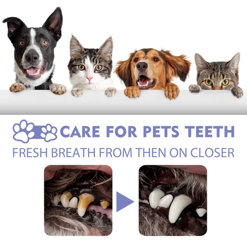 Effective Tooth Cleaning Spray for Cats & Dogs - Remove Tooth Stains, Freshen Breath, Pet Oral Care Spray - Image 4