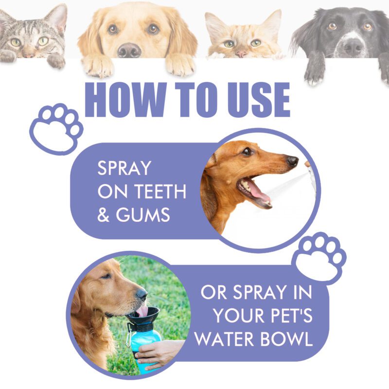 Effective Tooth Cleaning Spray for Cats & Dogs - Remove Tooth Stains, Freshen Breath, Pet Oral Care Spray - Image 6