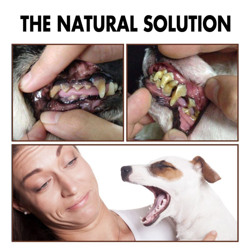 Pet Oral Care Tooth Cleaning Spray for Cats & Dogs - Tartar & Stain Removal, Bad Breath Eliminating Oral Spray - Image 4
