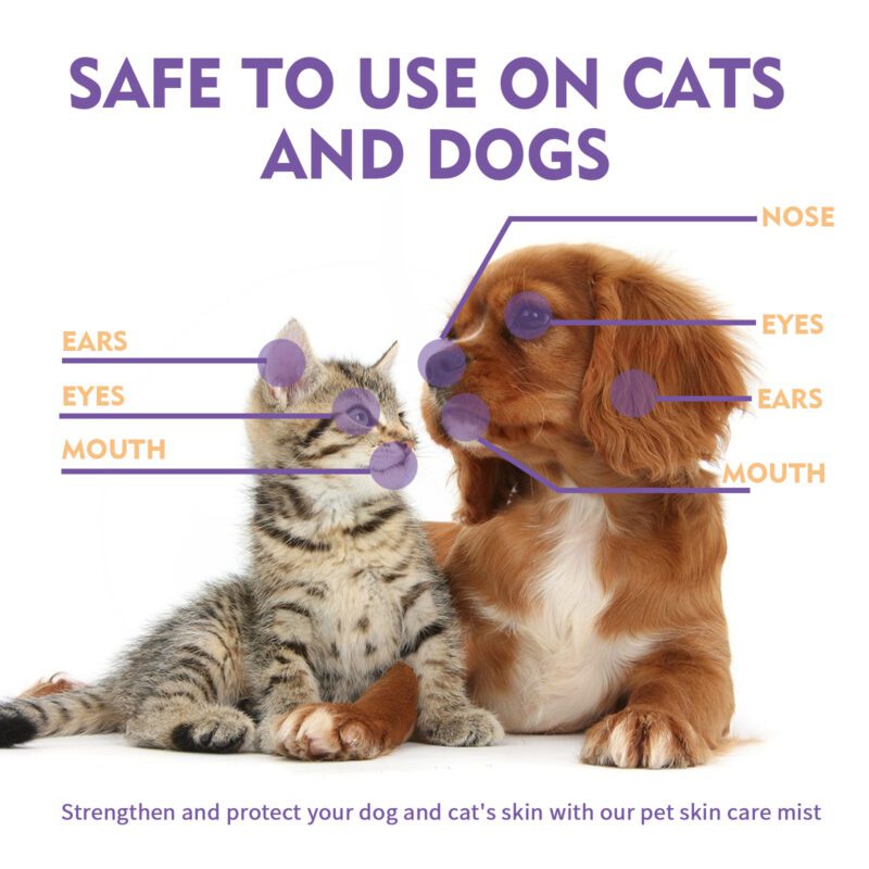 Pet Skin Relief Spray - Anti-Itch Soothing Spray for Dogs & Cats, Mite Elimination, Gentle Cleaning & Care - Image 3