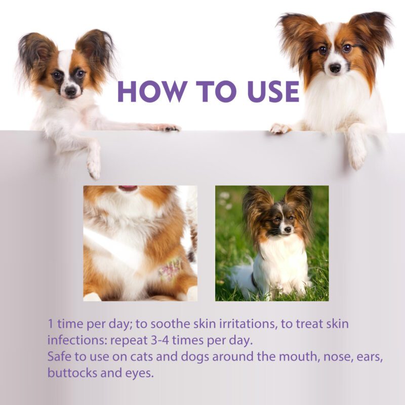 Pet Skin Relief Spray - Anti-Itch Soothing Spray for Dogs & Cats, Mite Elimination, Gentle Cleaning & Care - Image 6