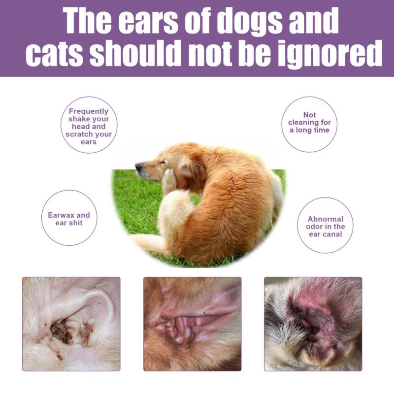 Pet Ear Wash Drops for Cats & Dogs - Eliminates Ear Odors, Removes Excess Earwax, Gentle Ear Canal Cleaner - Image 4
