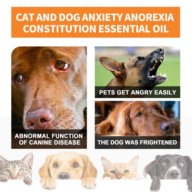 Cat & Dog Health Care Sesame Seed Oil Essence - Enhance Pet Vitality & Wellness - Image 3