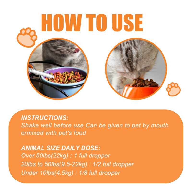 Cat & Dog Health Care Sesame Seed Oil Essence - Enhance Pet Vitality & Wellness - Image 6