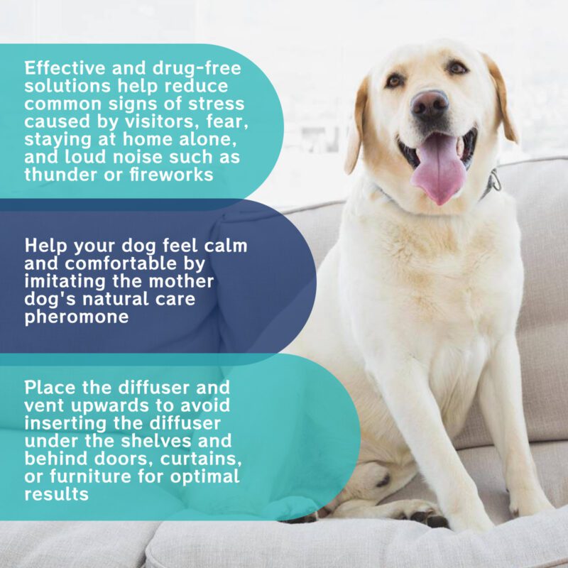 Pet Emotional Calming Care Liquid - Relieve Cats & Dogs Anxiety, Stress & Fretfulness for Soothing Comfort - Image 4
