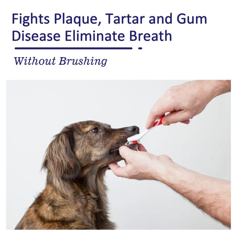 Pet Oral Care Cleaning Cream for Cats & Dogs - Eliminate Bad Breath, Remove Tartar Stains, Whiten Teeth - Image 3