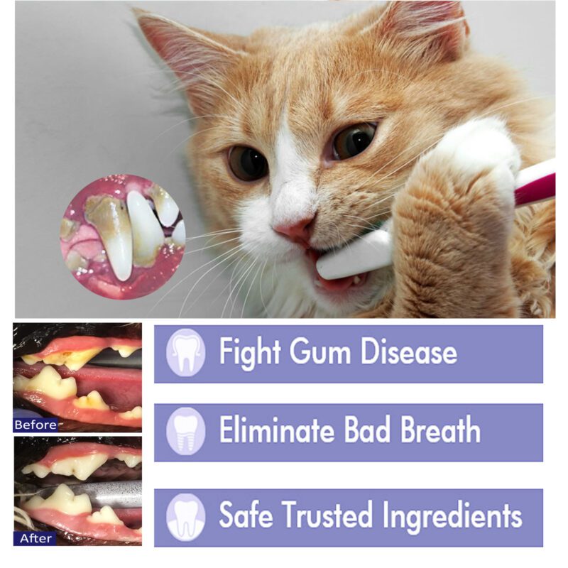 Pet Oral Care Cleaning Cream for Cats & Dogs - Eliminate Bad Breath, Remove Tartar Stains, Whiten Teeth - Image 4