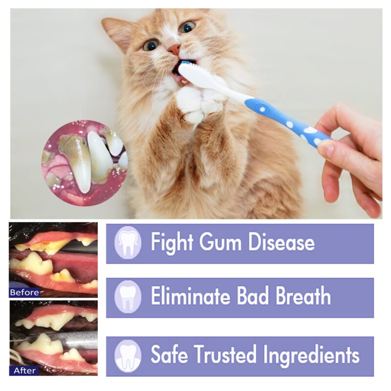 Pet V34 Toothpaste - Bad Breath & Tartar Control, Gum Care Toothpaste for Pets - Image 3