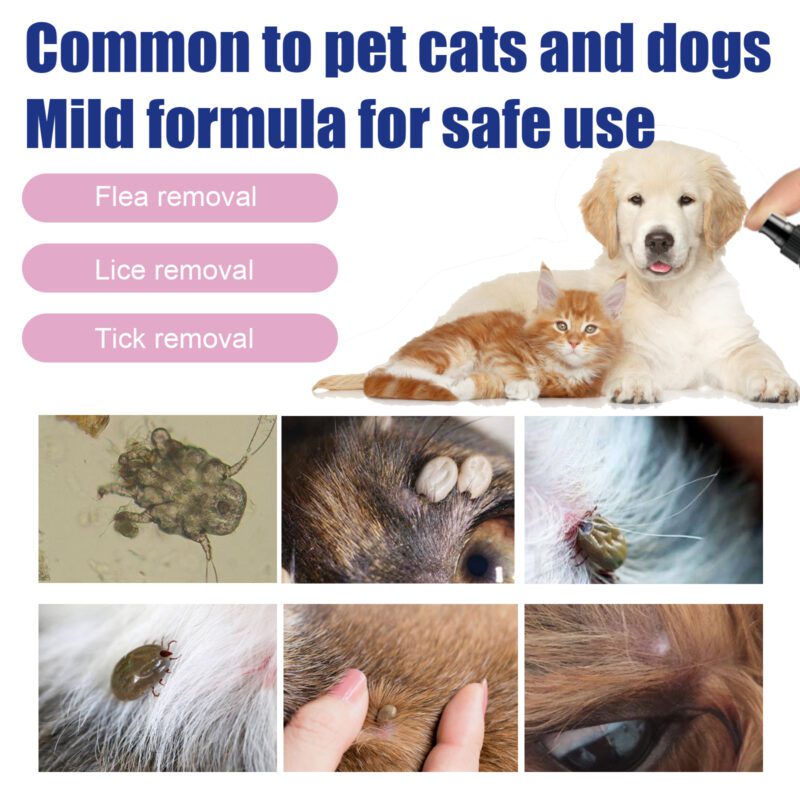Powerful Flea & Tick Spray for Cats & Dogs - Pet Skin Cleansing, Lice Removal, Anti-Itch Relief Spray - Image 4