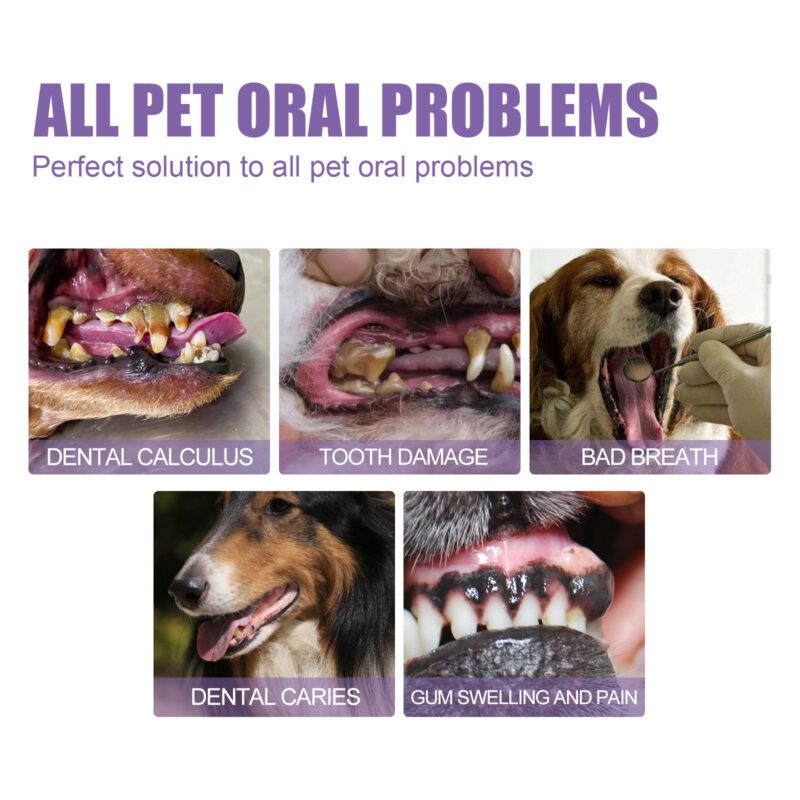 Pet Oral Care Gel (2-Pack) - Deeply Cleans Dog & Cat Teeth Stains, Promotes Healthy Oral Care - Image 4