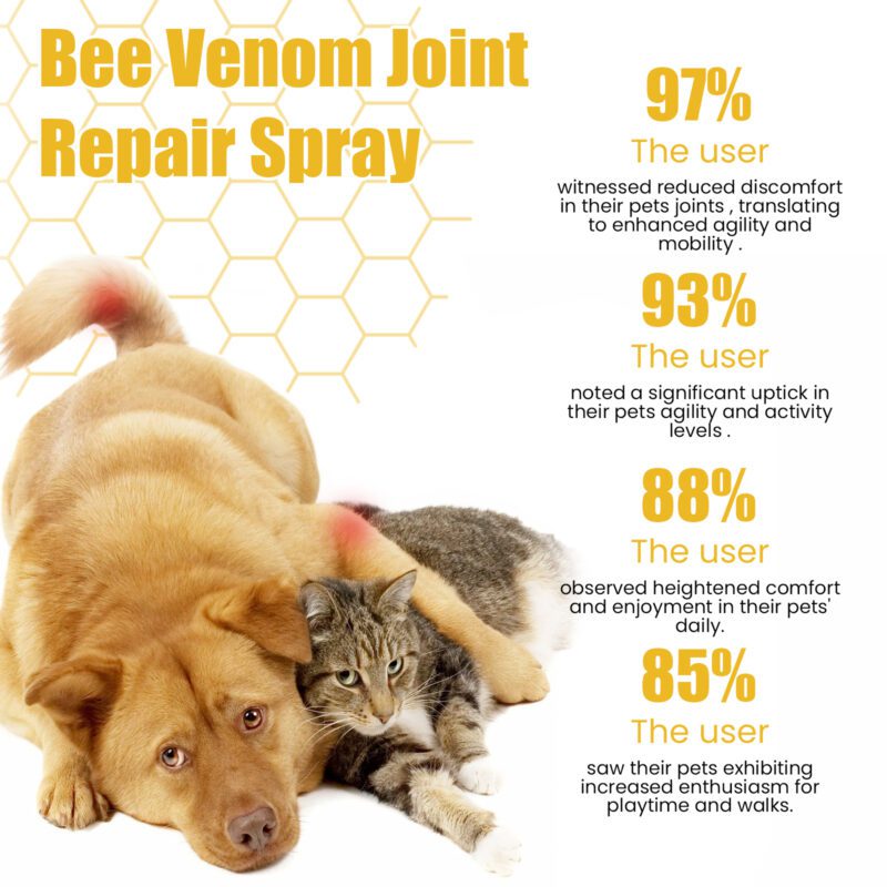 Pet Joint Repair Spray for Cats & Dogs - Relieve Joint Pain, Soreness | Muscle & Bone Care Spray with Effective Support - Image 3