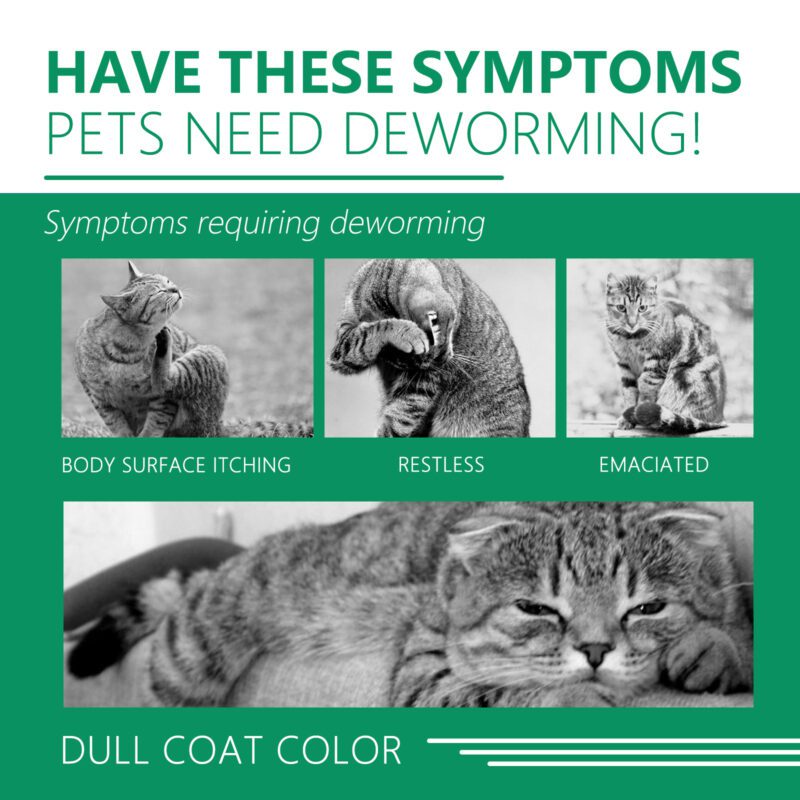 Pet Flea & Tick Repellent Collar - Waterproof Adjustable Long-Lasting Deworming Collar for Pets - Image 3