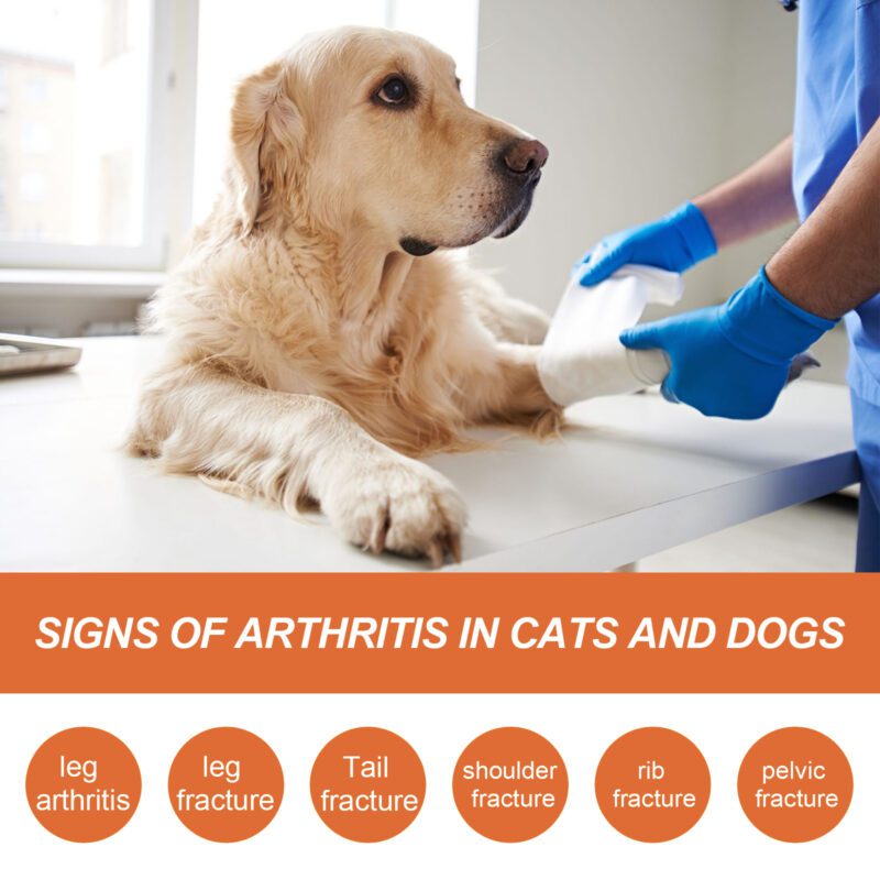Pet Joint Repair & Care Spray - Relieve Joint Discomfort, Improve Muscle Weakness for Pets - Image 3