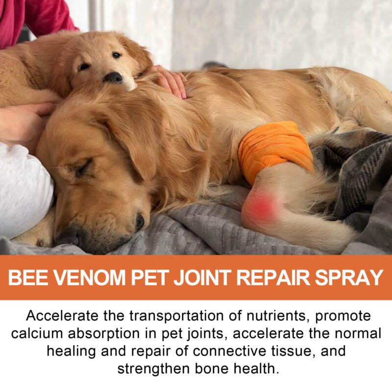 Pet Joint Repair & Care Spray - Relieve Joint Discomfort, Improve Muscle Weakness for Pets - Image 4