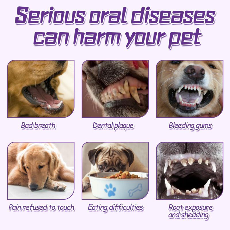 Effective Dog Toothbrush for Pet Oral Care - Removes Dental Stains, Promotes Dental Health - Image 4