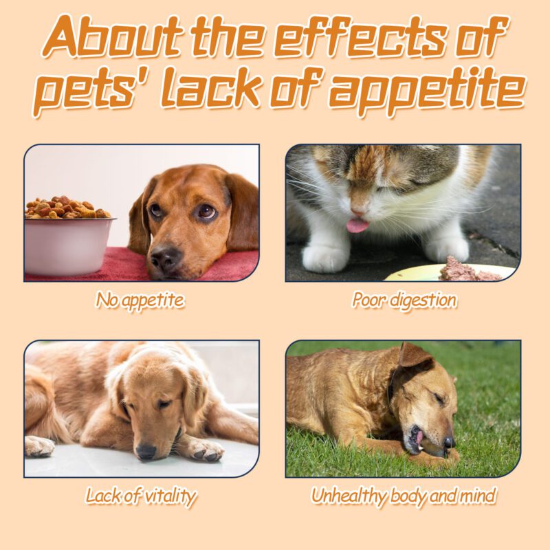 All-Pet Essential Drops: Energizing & Nourishing Health Care Supplement for Optimal Pet Wellness - Image 3