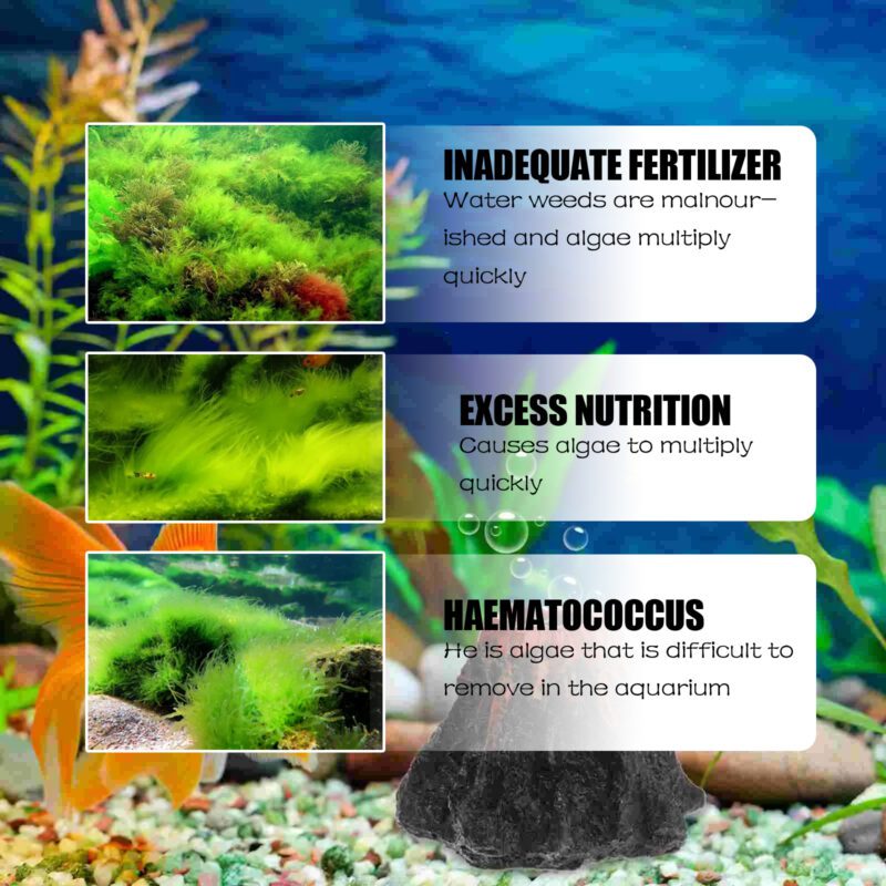 Dealgal Lichen Aquarium Algae & Moss Remover - Effective Fish Tank Cleaning Agent for Algae Removal, Moss Elimination & Green Water Algae Control - Image 4