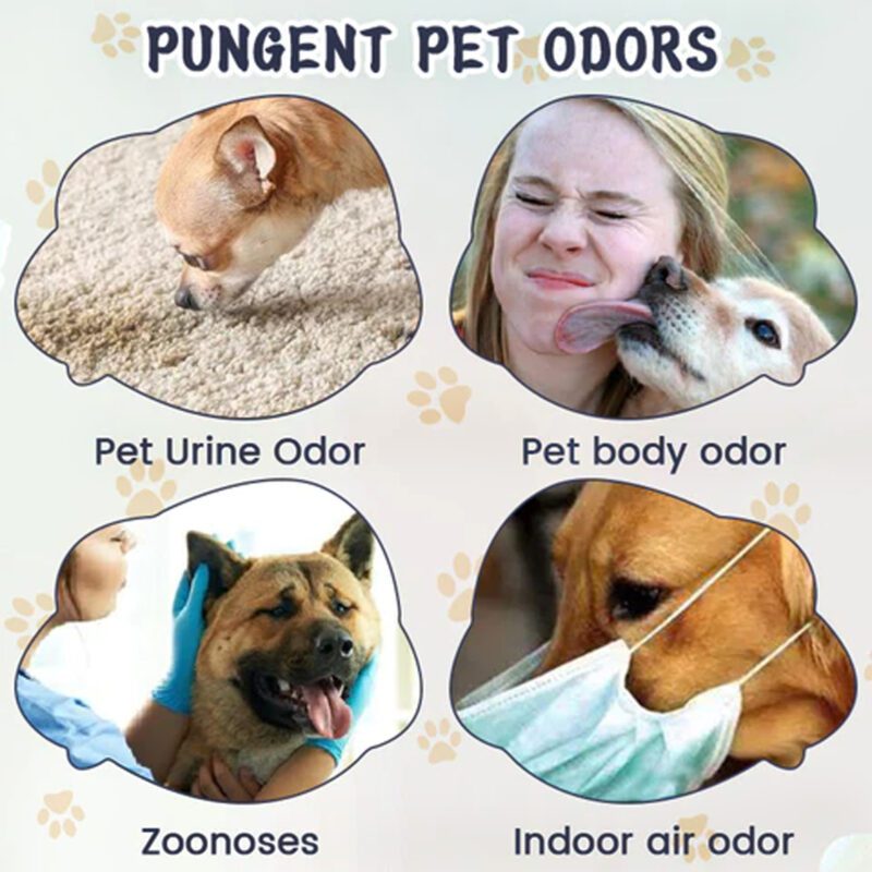 Powerful Pet Odor & Stain Eliminator - Dog & Cat Body Odor, Feces Stains & Odor Remover for Indoor Use, Long-Lasting Fresh Deodorizer - Image 3