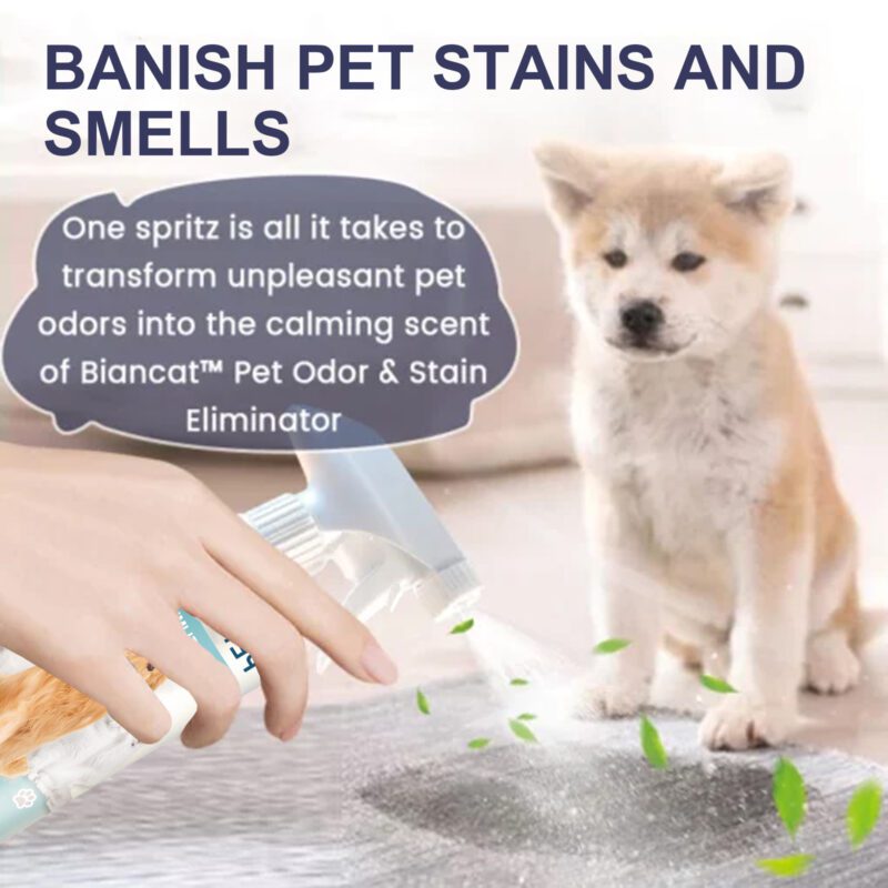 Powerful Pet Odor & Stain Eliminator - Dog & Cat Body Odor, Feces Stains & Odor Remover for Indoor Use, Long-Lasting Fresh Deodorizer - Image 4