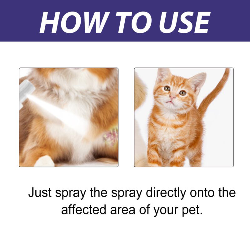 Pet Skin Care Spray for Dogs & Cats - Anti-Itch, Wound Repair, Skin Moss Relief Spray - Image 6