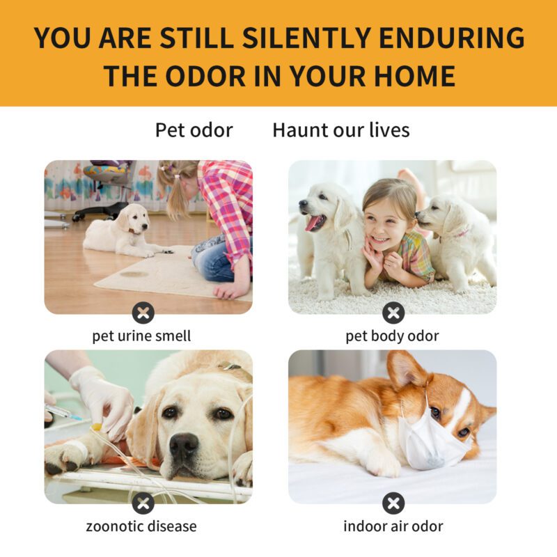 Pet Fabric Deodorizer Spray - Long-Lasting Fresh Air Spray to Eliminate Pet Odors, Effective Indoor Fabric & Air Deodorant for Sofas/Carpets - Image 4