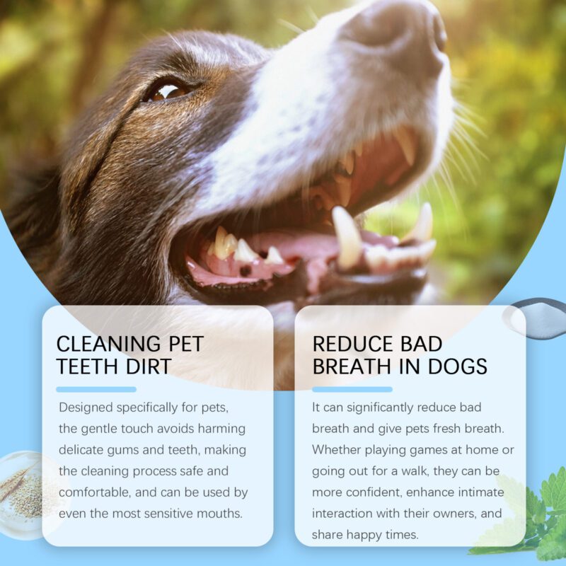 Pet Toothbrush for Dogs Cats - Gentle Teeth Cleaning Pen with Fresh Breath, Eliminate Bad Breath, Oral Care for Pets - Image 3