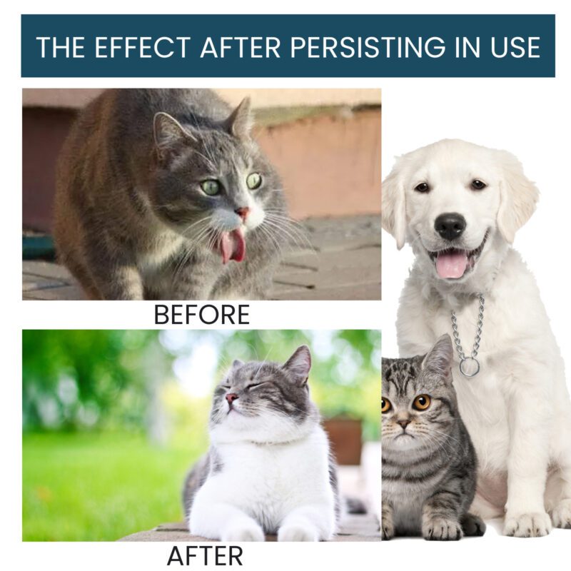 Pet Immune & Nutritional Oral Drops - Immune Support Supplement for Cats and Dogs - Image 4