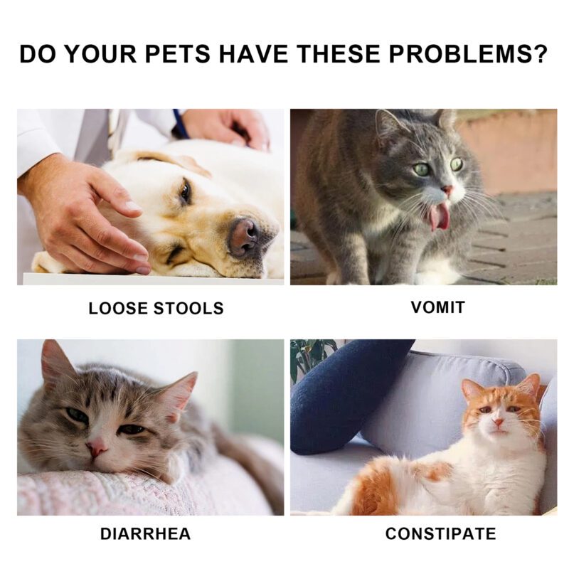 Pet Immune & Nutritional Oral Drops - Immune Support Supplement for Cats and Dogs - Image 5