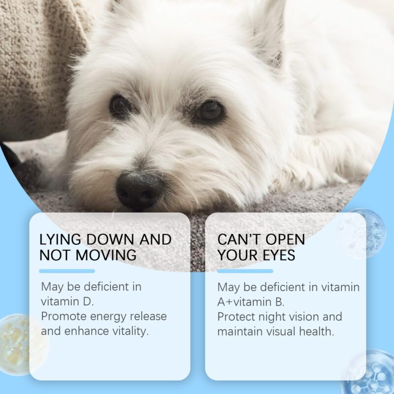 Multivitamin Tablets for Dogs, Cats & Small Pets - Nutritional Health Supplements with Easy Absorption - Image 3