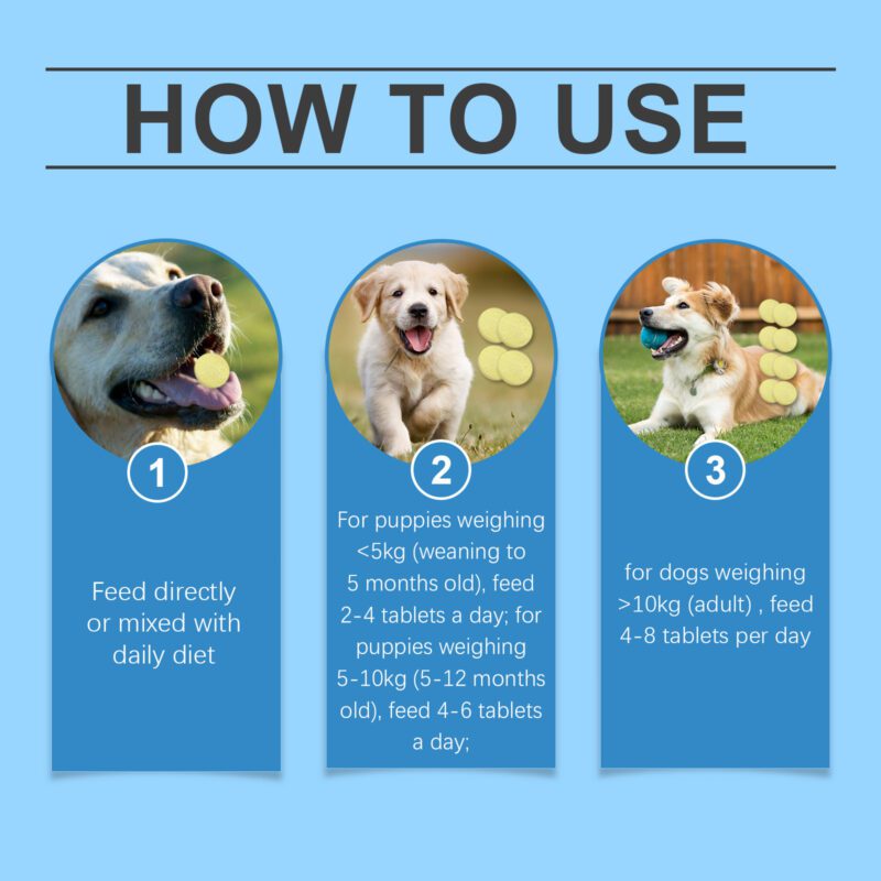Multivitamin Tablets for Dogs, Cats & Small Pets - Nutritional Health Supplements with Easy Absorption - Image 6