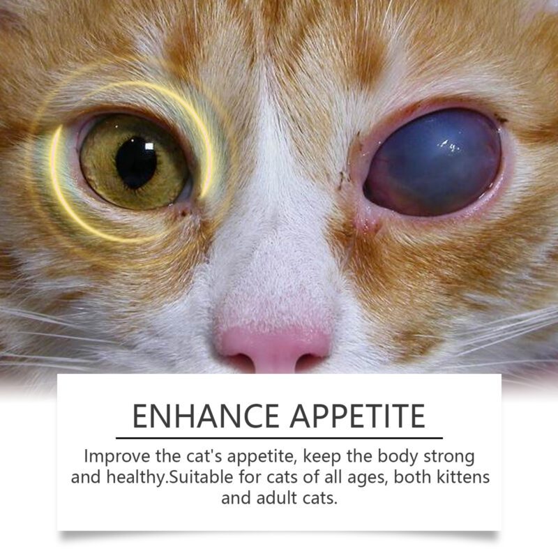 Premium Multi-Dimensional Compound Taurine Tablets for Cats - Essential Nutritional Supplement for Feline Health - Image 3
