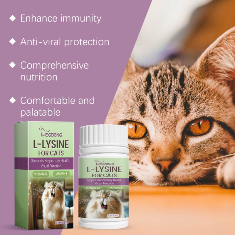 Premium Cat L-Lysine Tablets | Supports Immune Health & Body Care | Keep Your Feline Happy & Healthy - Image 3