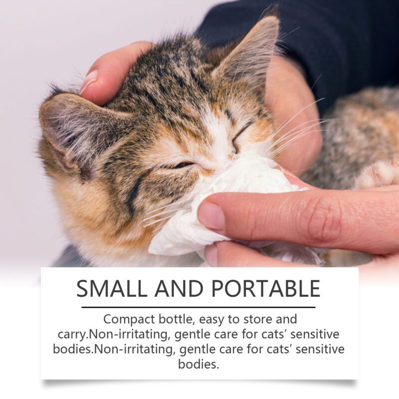 Premium Cat L-Lysine Tablets | Supports Immune Health & Body Care | Keep Your Feline Happy & Healthy - Image 4
