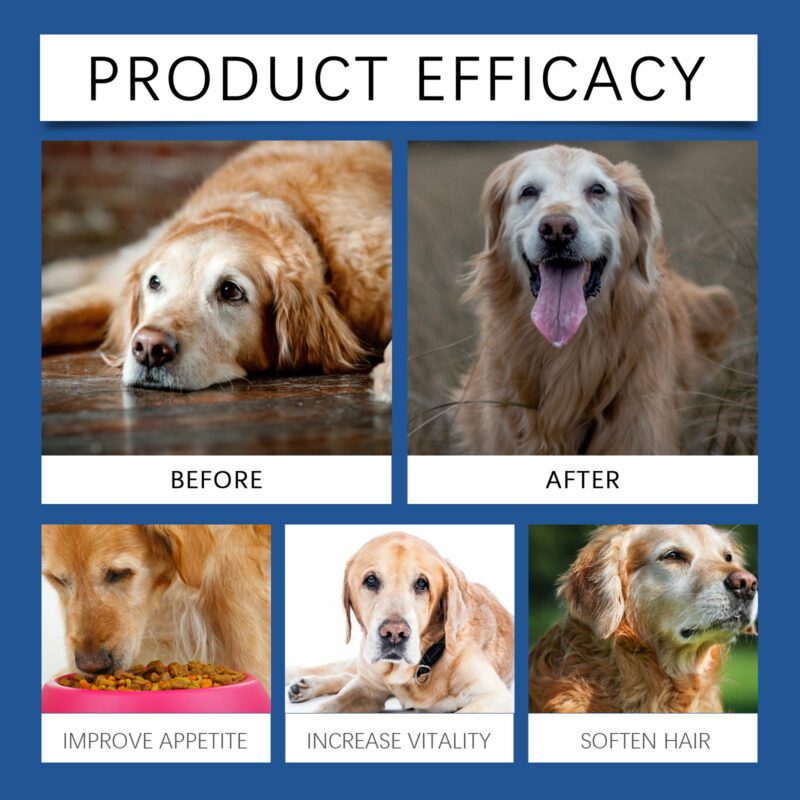 Senior Dog Trace Element & Calcium Tablets - Supports Nerve Health, Promotes Overall Wellness, Elderly Dog Care Supplement - Image 4