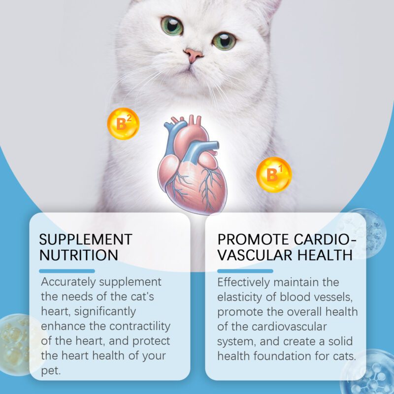 Coenzyme Q10 Tablets for Cats - Support Feline Health & Vitality, Enhance Nutrient Absorption Premium Cat Nutritional Supplements - Image 3