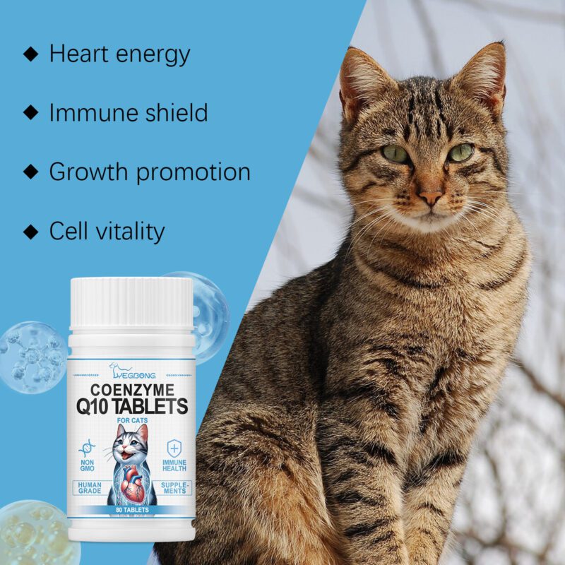 Coenzyme Q10 Tablets for Cats - Support Feline Health & Vitality, Enhance Nutrient Absorption Premium Cat Nutritional Supplements - Image 4