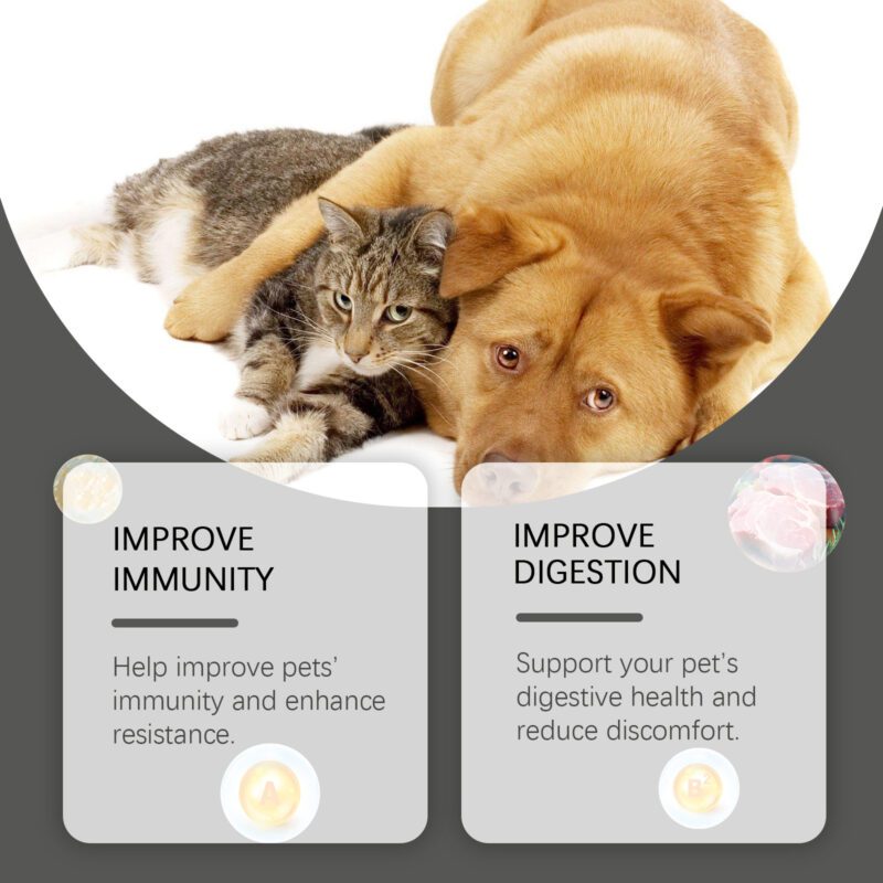 Multi-Strain Probiotic Tablets for Cats & Dogs - Digestive Health & Nutrient Absorption Support, Pet Nutrition Supplement - Image 4