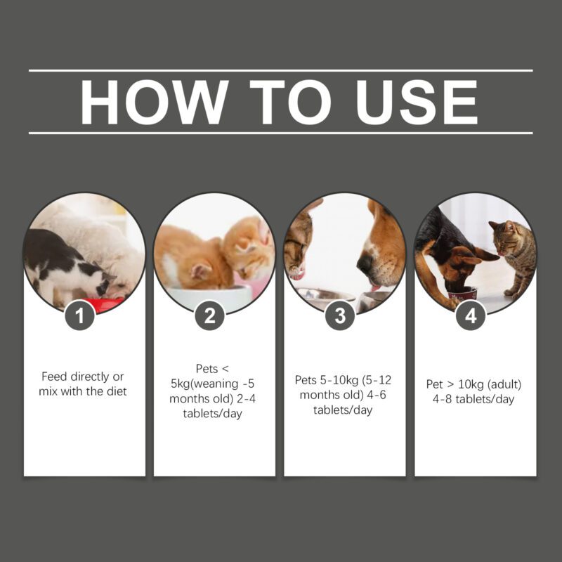 Multi-Strain Probiotic Tablets for Cats & Dogs - Digestive Health & Nutrient Absorption Support, Pet Nutrition Supplement - Image 6